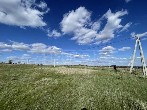 Участок в Воронежская область, Рамонский район, Новоживотинновское ...