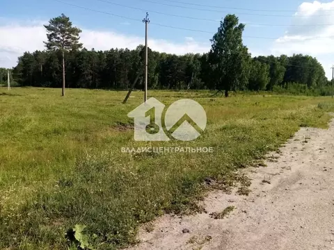 Участок в Новосибирская область, Мошковский район, с. Белоярка ул. ...