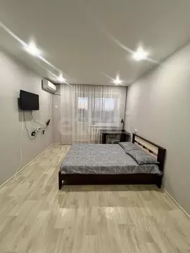 1-к кв. Амурская область, Благовещенск Политехническая ул., 109 (33.9 ...