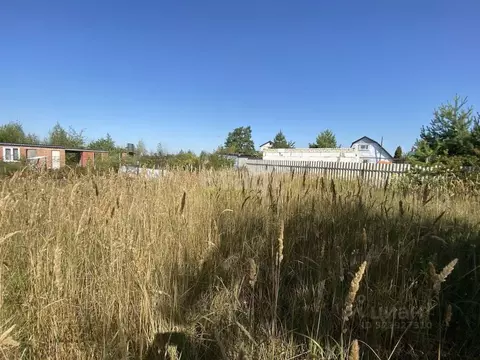 Участок в Воронежская область, Рамонский район, Новоживотинновское ...