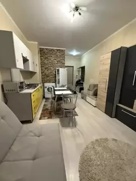 Студия Тверская область, Тверь ул. Фрунзе, 2к1 (28.0 м)