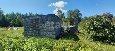 Участок в Брянская область, Фокино  (10.7 сот.)