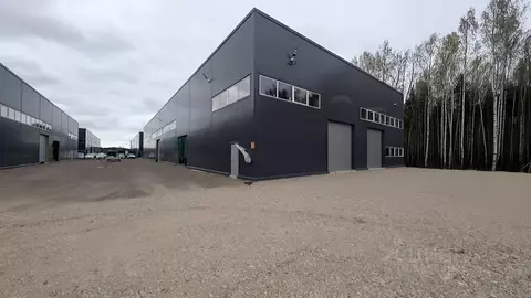 Помещение свободного назначения в Санкт-Петербург Шафировский просп., ...