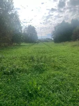 Участок в Калужская область, Дзержинский район, Рудня с/пос, д. Матово ...