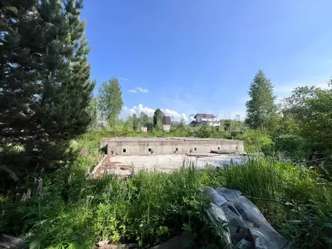 Участок в Новосибирская область, Новосибирский район, Барышевский ...