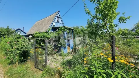 Дом в Брянская область, Брянский район, Чернетовское с/пос, Монтажник ...