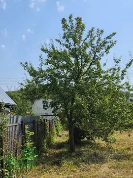 Дом в Московская область, Раменский муниципальный округ, Горка СНТ 266 ...