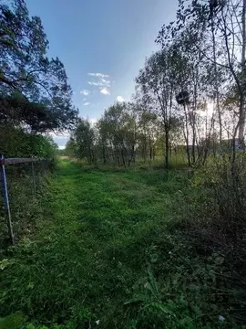 Участок в Калужская область, Боровский муниципальный округ, ...