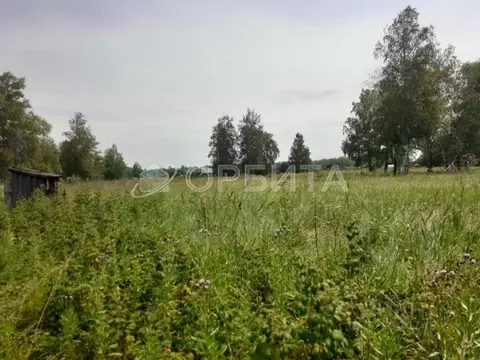 Участок в Тюменская область, Нижнетавдинский муниципальный округ, ...