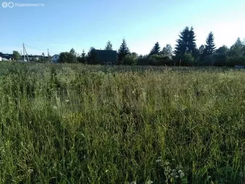 Участок в Волосовский район, Калитинское сельское поселение, деревня ...