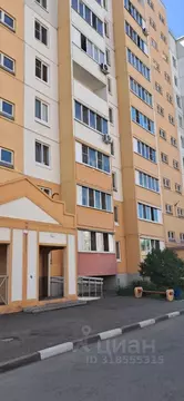 1-к кв. Омская область, Омск Осоавиахимовская ул., 183к1 (40.3 м)