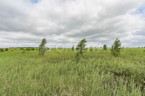 Участок в Тюменская область, Тюмень  (6.0 сот.)