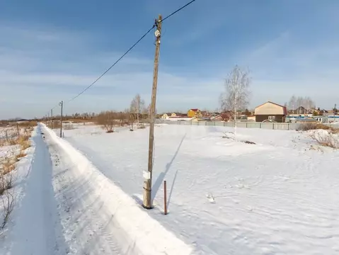 Участок в Тюменская область, Тюмень Факел СНТ, 8-я линия (10.74 сот.)