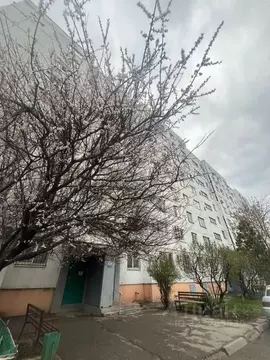 3-к кв. Ростовская область, Таганрог ул. Чехова (62.2 м)