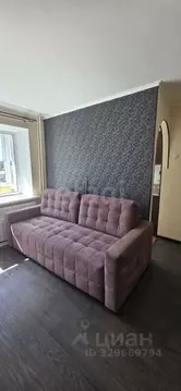 1-к кв. Пермский край, Пермь ул. Генерала Черняховского, 76 (30.7 м)