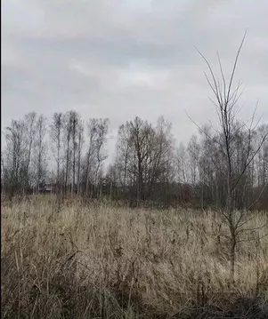 Участок в Московская область, Чехов муниципальный округ, Троицкое пгт, ...