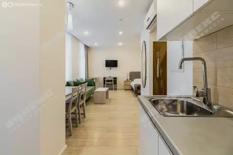 Квартира-студия: Санкт-Петербург, улица Академика Павлова, 7 (35.3 м)