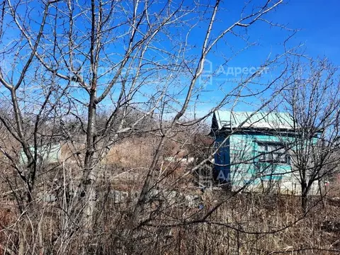 Участок в Волгоградская область, Волгоград Мичуринец СНТ,  (7.98 сот.)