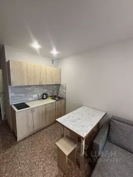 Студия Алтайский край, Барнаул Песчаная ул., 19 (27.0 м)