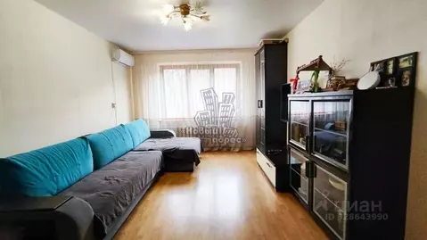 3-к кв. Воронежская область, Воронеж Придонской мкр, ул. 232-й ...