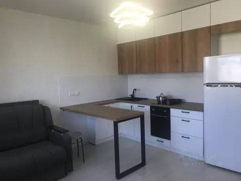 Студия Санкт-Петербург просп. Королева, 64к1 (24.0 м)