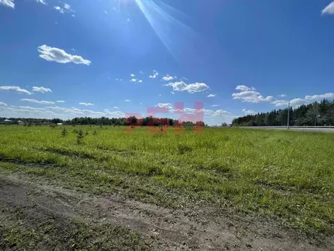 Помещение свободного назначения в Тюменская область, Тюменский район, ...