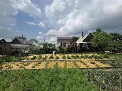 Дом в Тюменская область, Тюмень Плодовое СНТ, ул. Березовая (15 м)