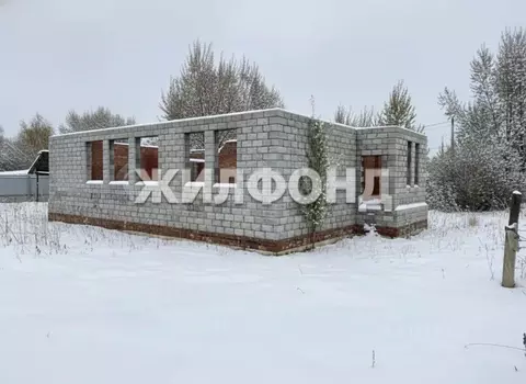 Участок в Новосибирская область, Новосибирский район, Боровской ...