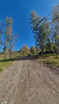 Участок в Алтай, Чемальский район, с. Чемал пер. Светлый (10.24 сот.)