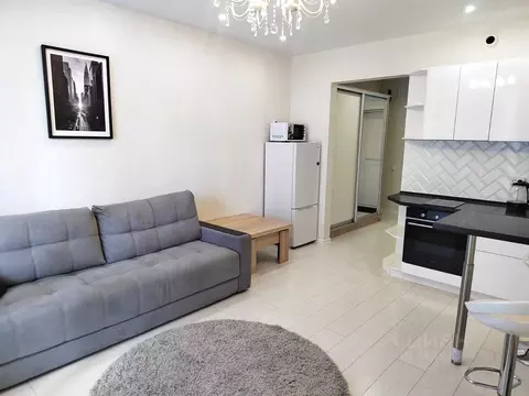 Студия Новосибирская область, Новосибирск Овражная ул., 3 (40.0 м)