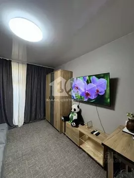 Студия Новосибирская область, Новосибирск ул. Забалуева, 90 (26.5 м)