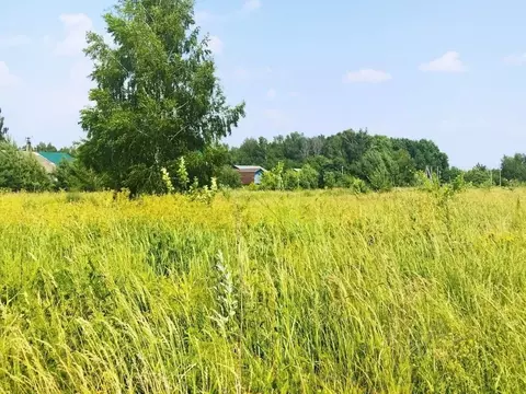 Участок в Тульская область, Ясногорский район, Иваньковское с/пос, д. ...