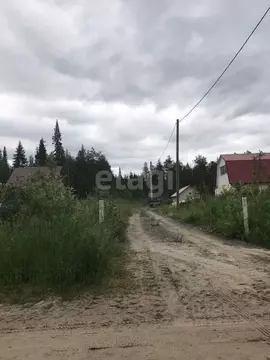 Участок в Коми, Корткеросский муниципальный район, Додзь муниципальное ...