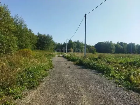 Участок в Ленинградская область, Кировский район, Шумское с/пос, ...