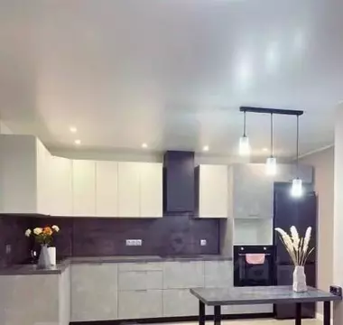 1-к кв. Приморский край, Владивосток Снеговая Падь мкр, ул. Адмирала ...