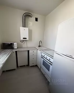 1-к кв. Нижегородская область, Нижний Новгород ул. Пушкина, 42А (31.5 ...