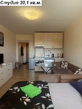Квартира-студия: Мытищи, проспект Астрахова, 9 (30.1 м)