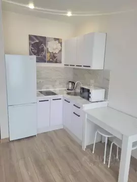 Студия Московская область, Красногорск городской округ, д. Глухово ул. ...