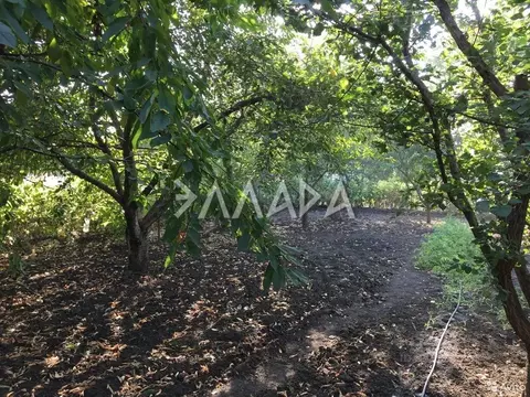 Участок в Ростовская область, Аксайский район, Большелогское с/пос, ...