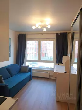 Студия Москва ул. Братьев Бромлей, 5к2 (20.0 м)