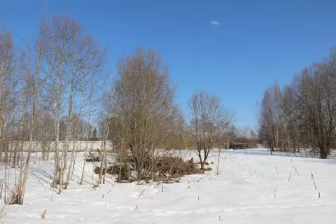 Участок в Московская область, Шаховская муниципальный округ, д. ...