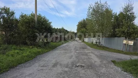 Участок в Новосибирская область, Новосибирский район, Барышевский ...