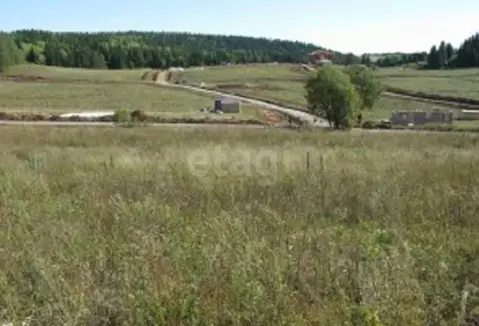 Участок в Пермский край, Пермский муниципальный округ, д. Большакино ...