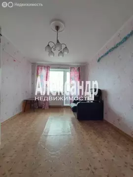 3-комнатная квартира: деревня Оржицы, 13 (61.8 м)