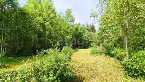 Участок в Ленинградская область, Киришский район, Пчевжинское с/пос, ...