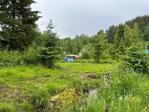 Участок в Ленинградская область, Приозерский район, Сосновское с/пос, ...