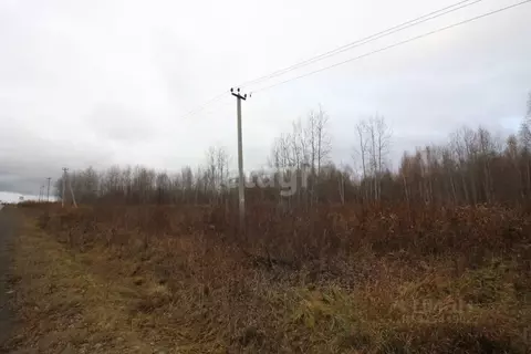 Участок в Свердловская область, Кушва  (18.4 сот.)