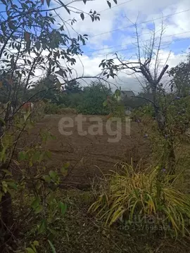 Участок в Калининградская область, Калининград Мелиоратор СНТ, ул. ...