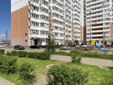 Помещение свободного назначения в Краснодарский край, Краснодар ...