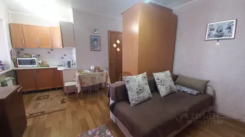 1-к кв. Красноярский край, Красноярск ул. 60 лет Октября, 159/2 (29.0 ...